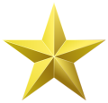 Golden star.svg.png
